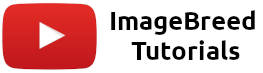 Watch ImageBreed Tutorials Watch ImageBreed Tutorials
